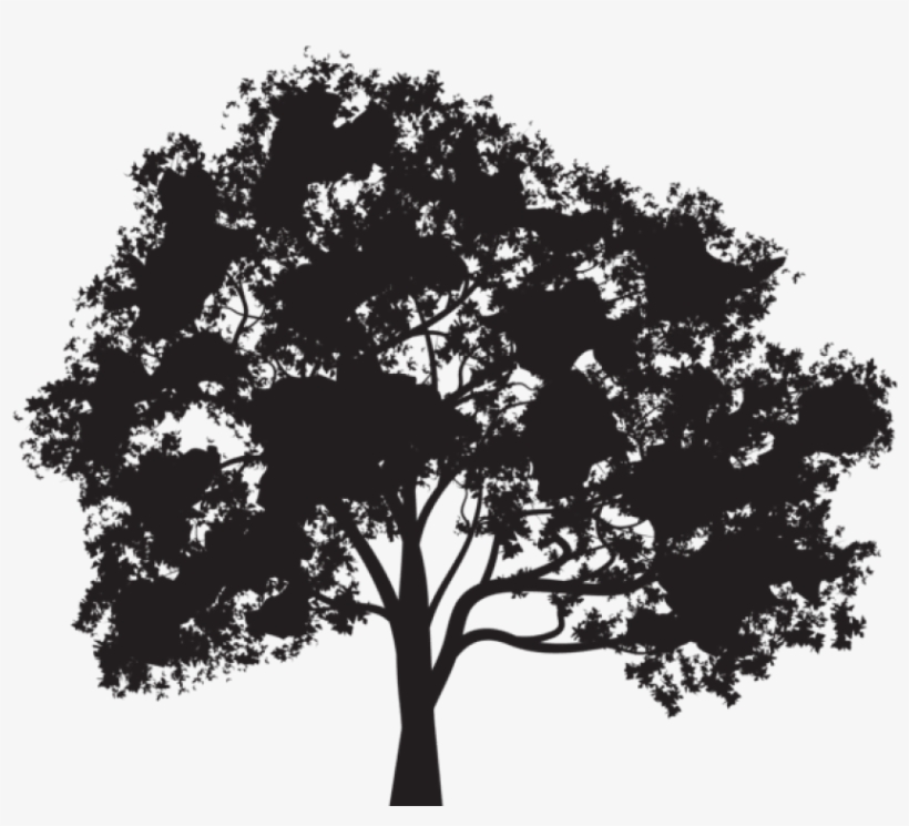 Free Png Tree Silhouette Png - Tree Silhouette Png Transparent, transparent png download