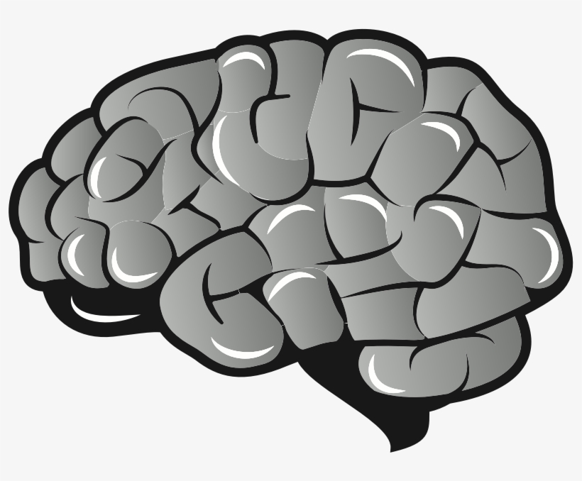 By Oksmith - Brain Svg, transparent png download