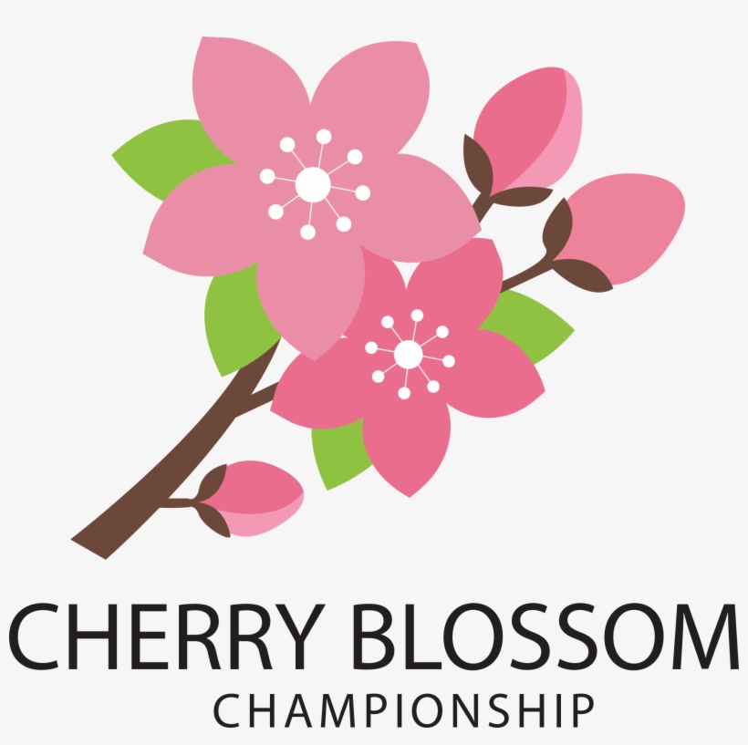 Sorry, Online Registration Is Closed - Clip Art, transparent png download