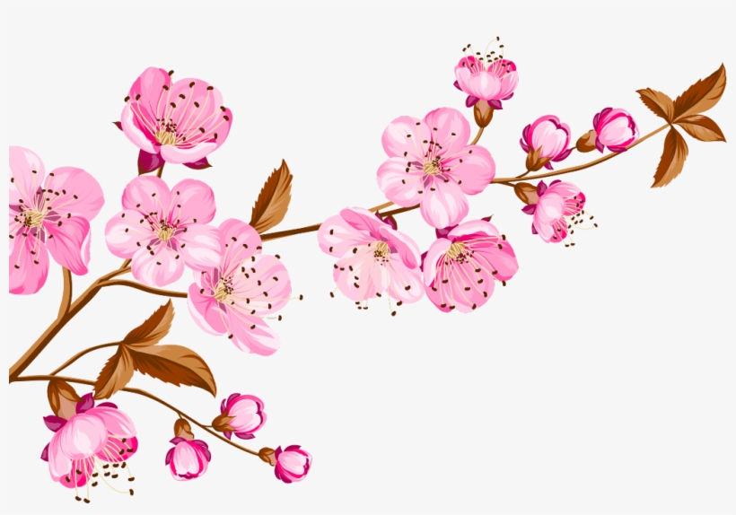 Cherry Sticker - Happy Mother's Day Cherry Blossom, transparent png download