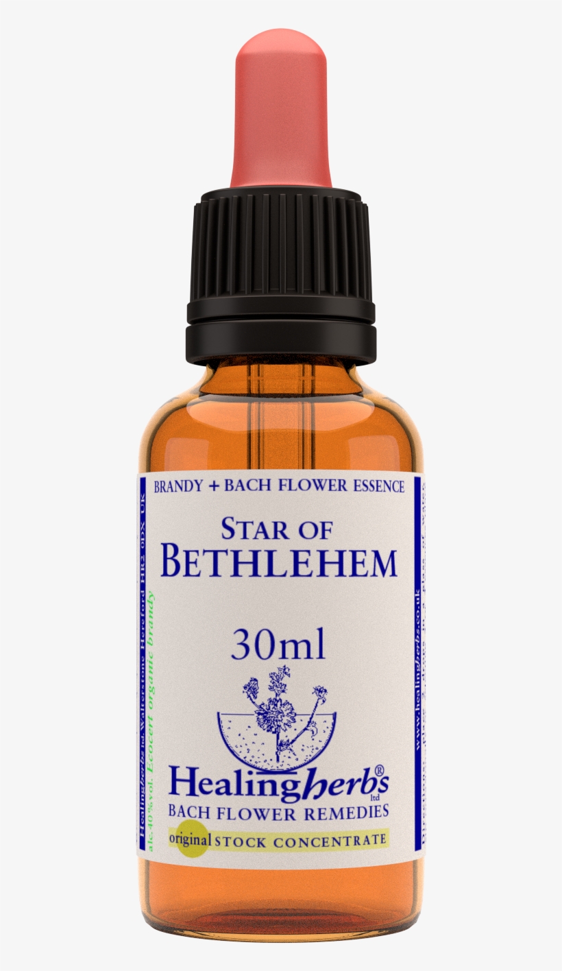 Star Of Bethlehem 30ml - Walnut Healing Herbs, transparent png download