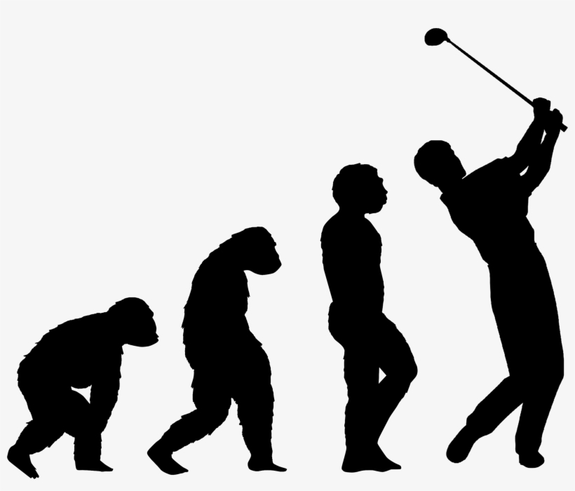 Woman Stages Of Human Evolution, transparent png download