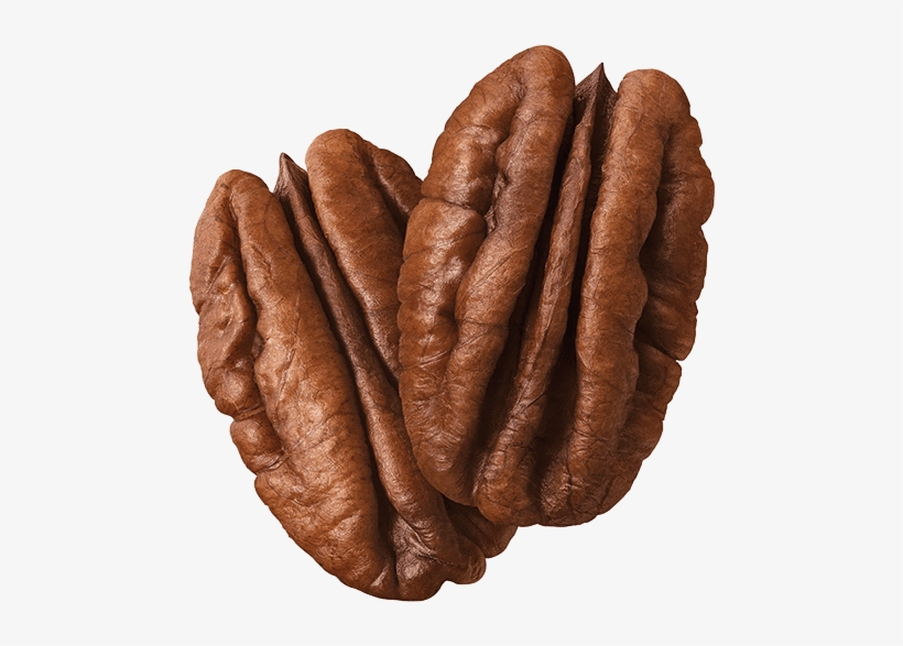 Event Details - Sandwich Cookies, transparent png download