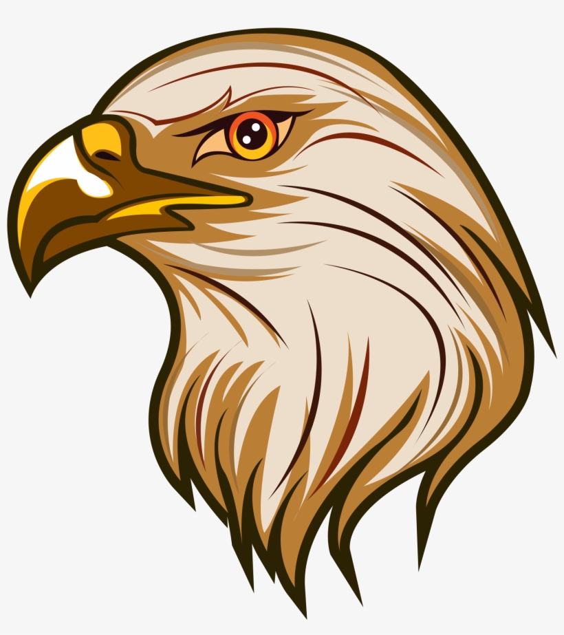 Download - Bald Eagle, transparent png download