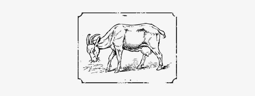 Goat Clip Art, transparent png download