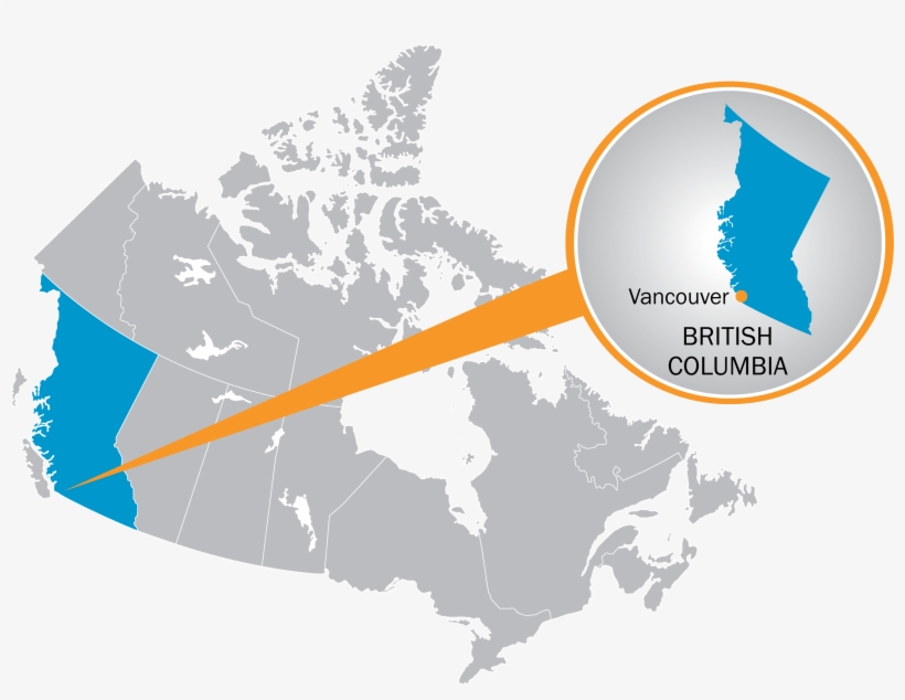 Go To Image - Canada Map Vector, transparent png download