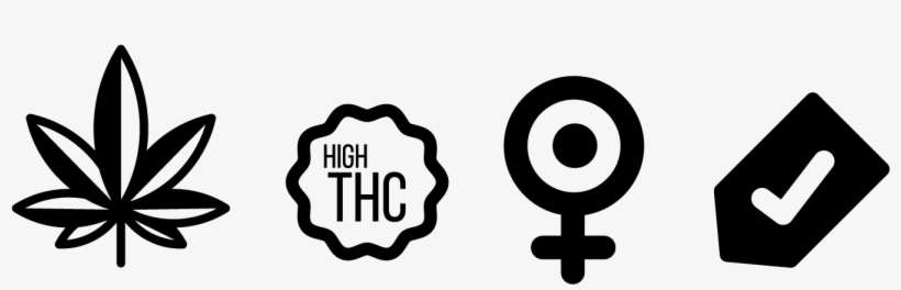 Elegant, Playful, Shipping Icon Design For Gorilla - Emblem, transparent png download