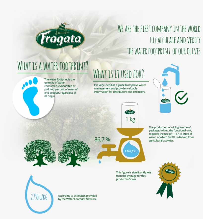 Fragata Water Footprint Olives - Water Footprint Olives, transparent png download