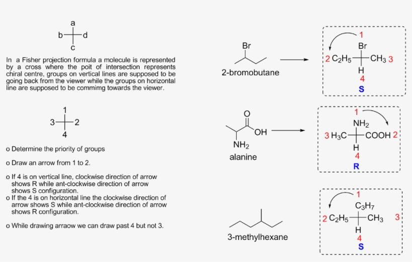 In A Fisher Projection Formula A Molecule Is Represented - Diagram, transparent png download