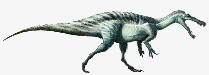 Suchomimustenerensis - Suchomimus Png, transparent png download