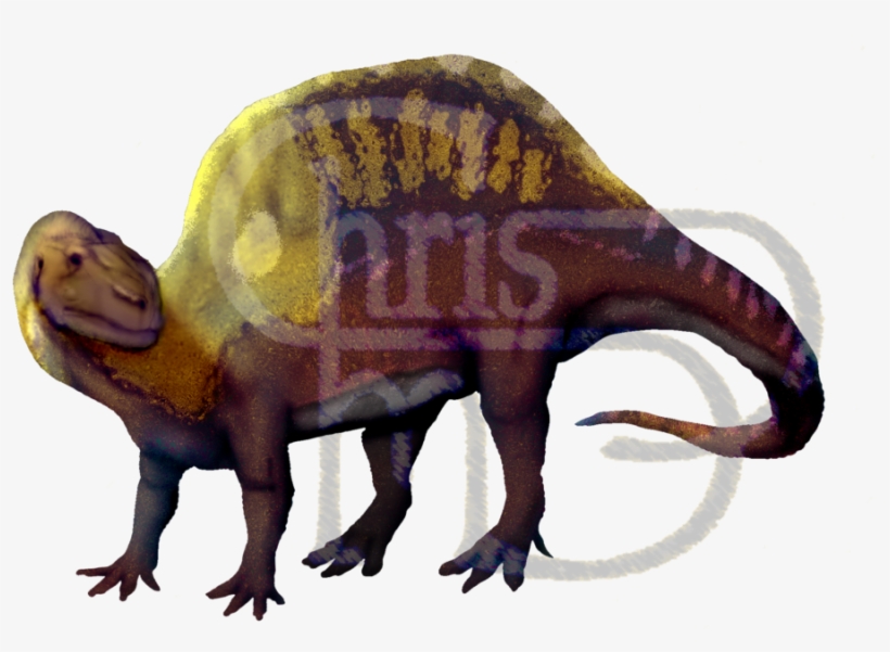 Spinosaurus Aegyptiacus, Restored On The Conceit That - Dinosaur, transparent png download
