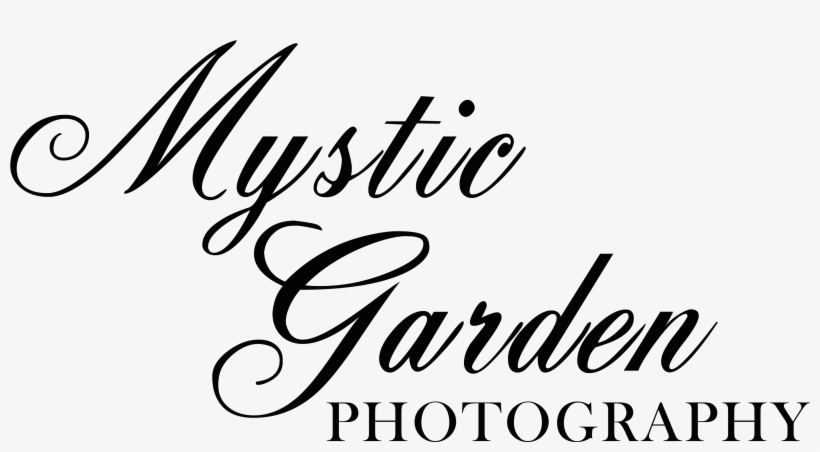 Calligraphy, transparent png download