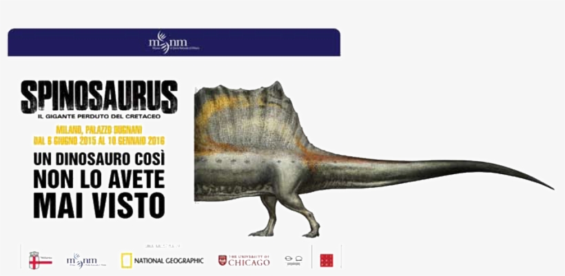 Il Gigante Perduto Del Cretaceo - Velociraptor, transparent png download