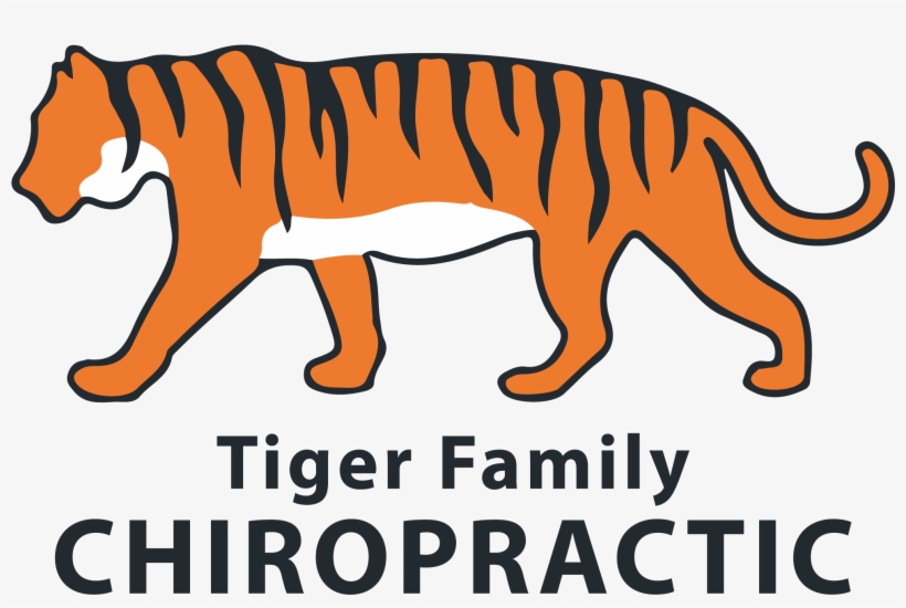 Chiropractor In Columbia, Mo - Bengal Tiger, transparent png download