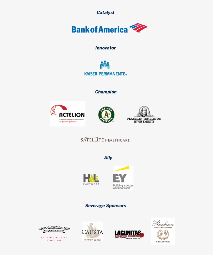 Graphic Of All Sponsors For Ziggurat Including - Bank Of America, transparent png download
