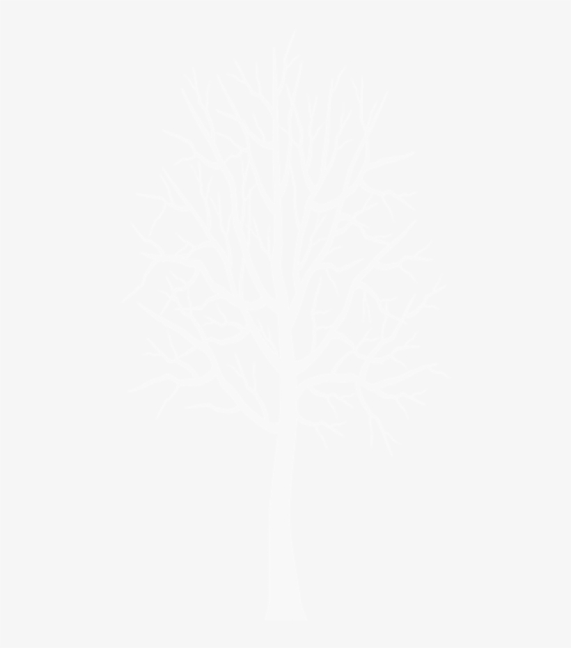 Free Png White Winter Tree Png - Darkness, transparent png download