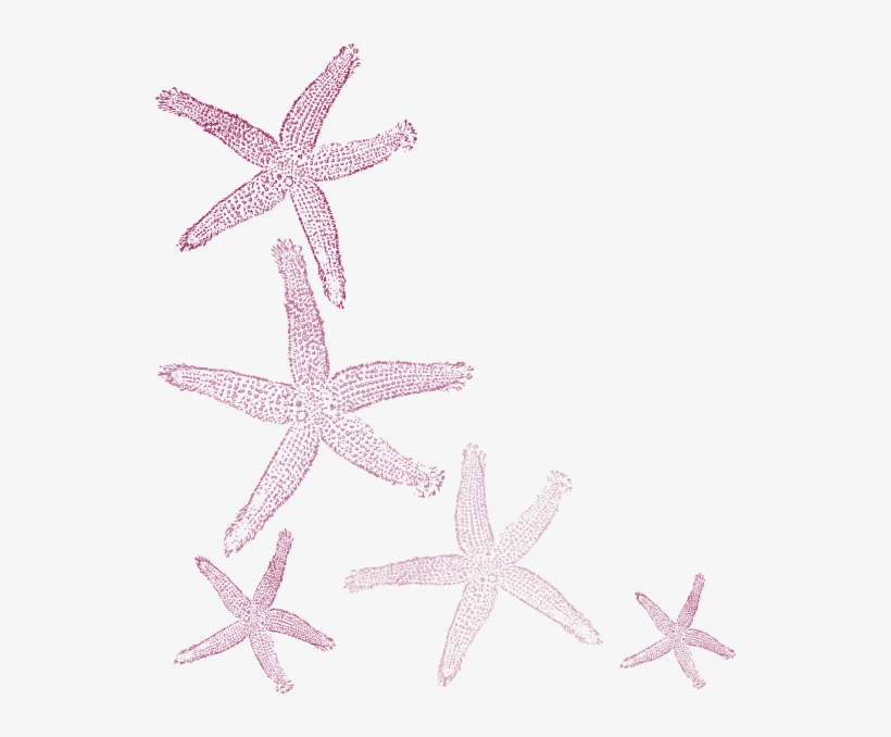 Fish Clip Art, transparent png download