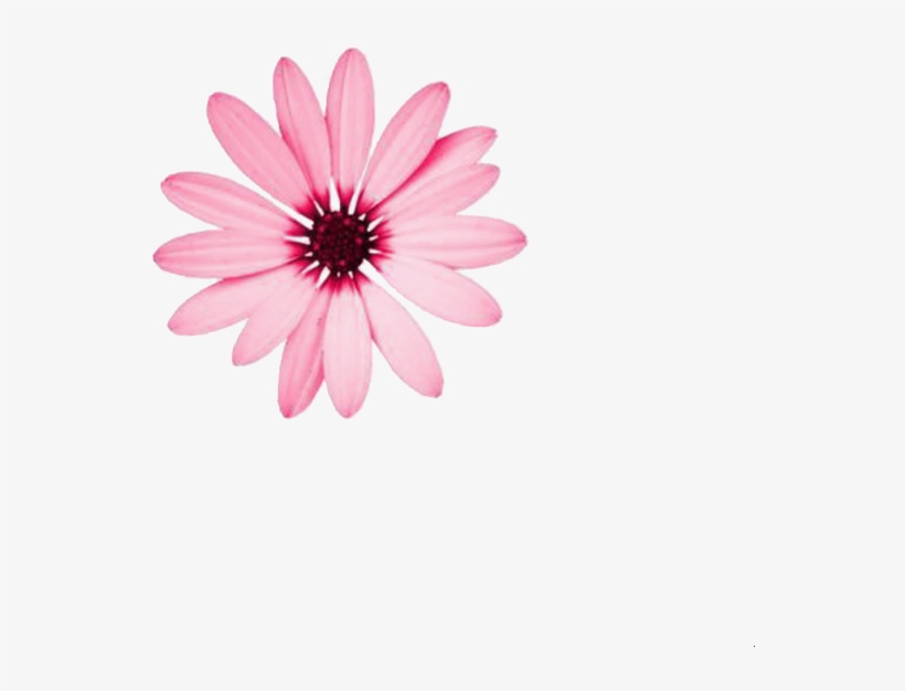 Nail, transparent png download