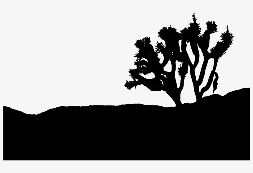 Joshua Tree Silhouette Stock - Black And White Joshua Tree, transparent png download