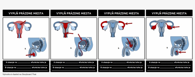 Vyplňte Hodnotenie - Evaluation, transparent png download