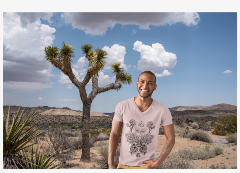 Download Man And Jtree | Transparent PNG Download | SeekPNG