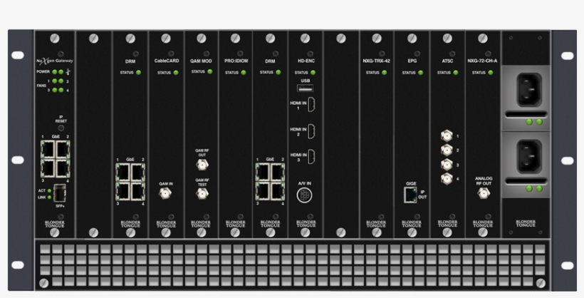 17 October, - Albert Hall Museum, transparent png download