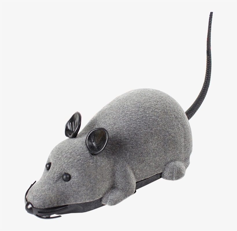 Cat Toy Pet Plush Vocal Cat Dog Toy Cat Funny Cat Stick - Cat Toys, transparent png download