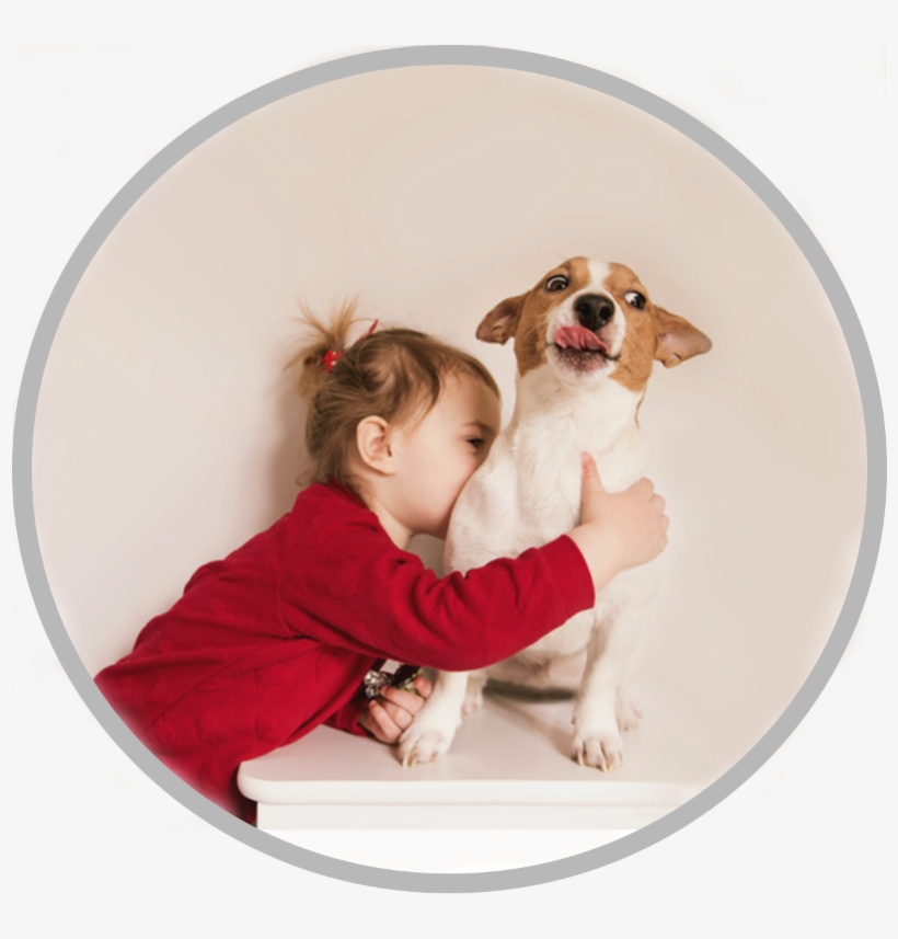 Paw, transparent png download