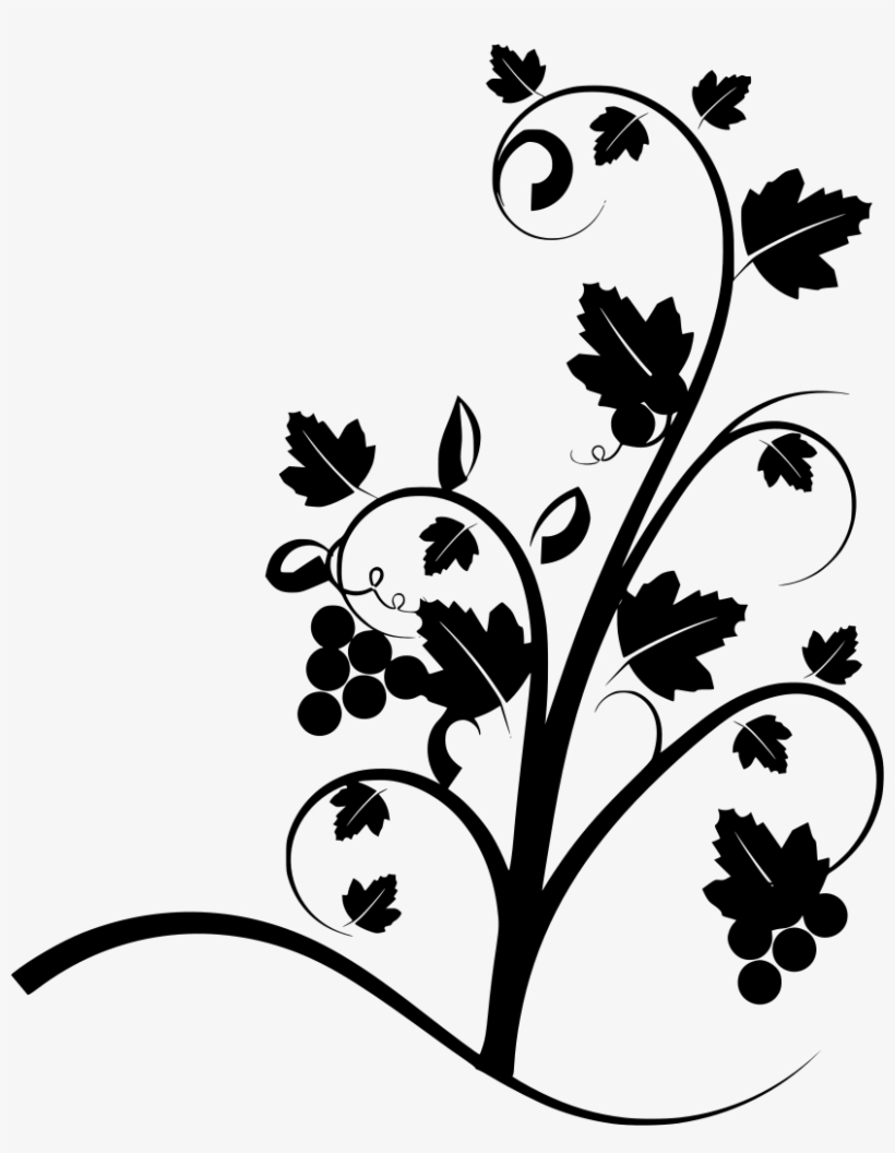 Download Png - Vine, transparent png download