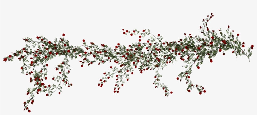 Rose Vine Beach Png Download Free Clipart - Floral Design, transparent png download