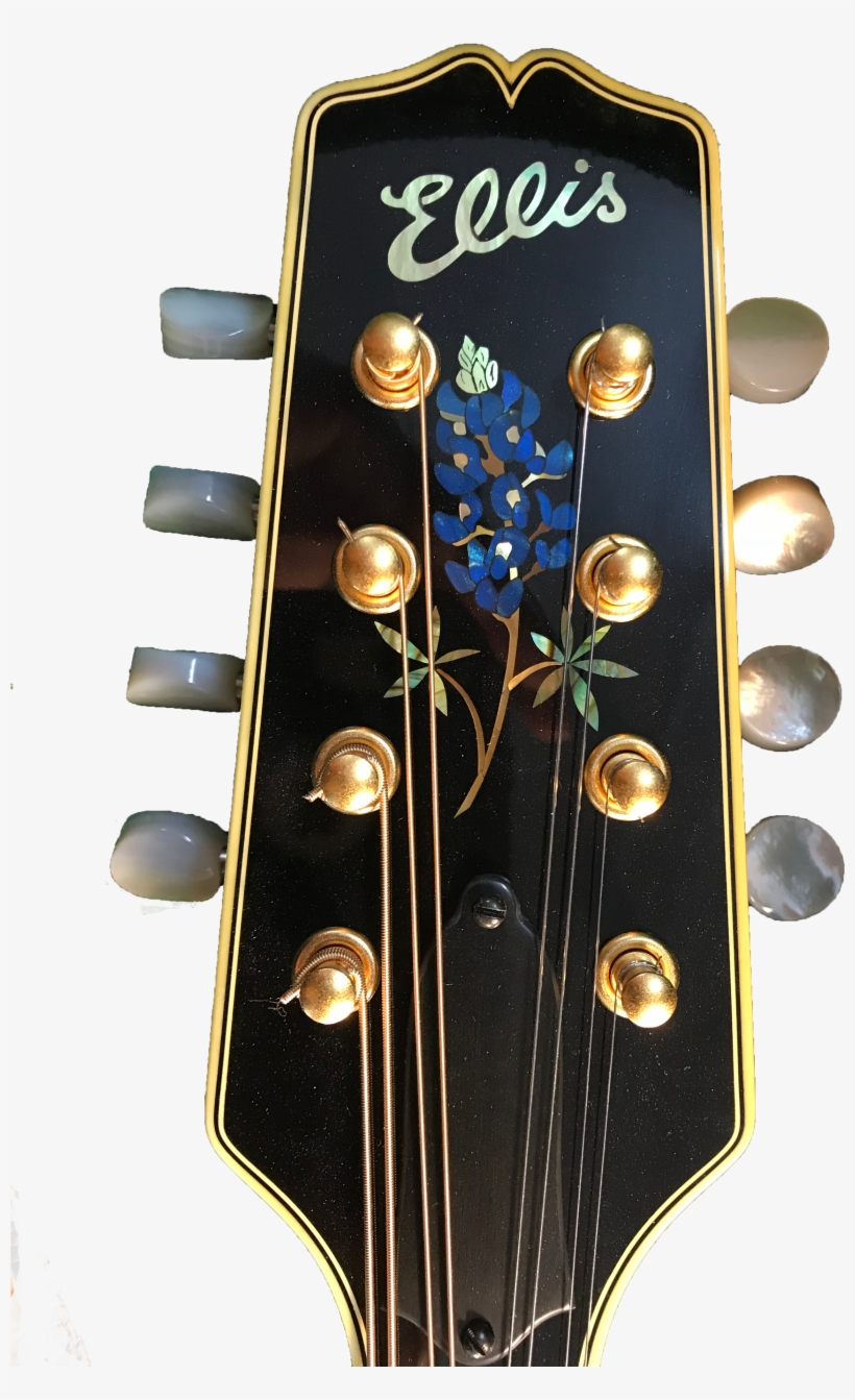 Leave A Comment - Electric Guitar, transparent png download