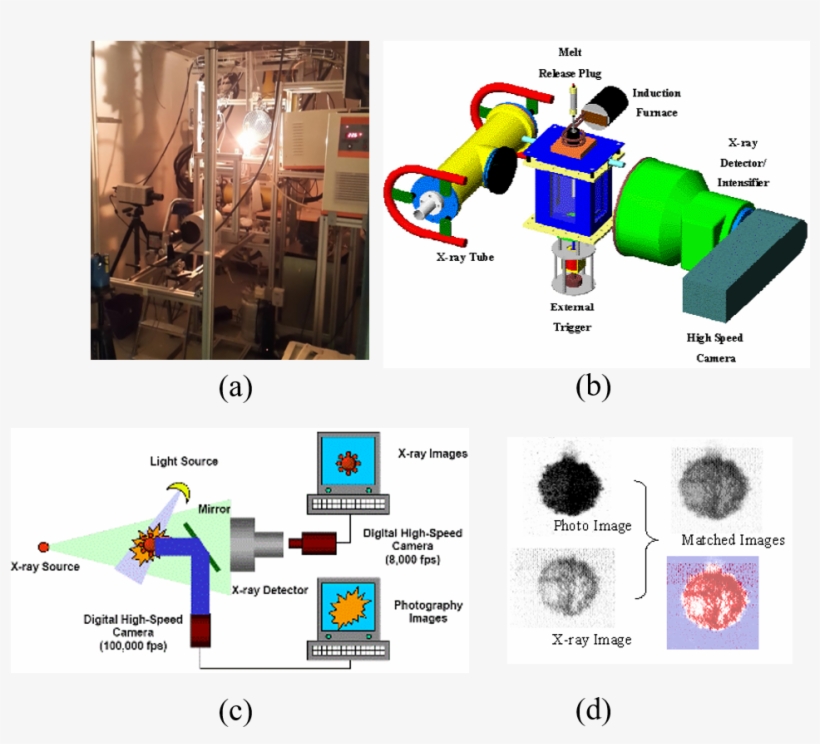 Mistee Facility - Graphic Design, transparent png download