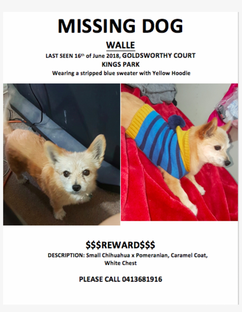 Sightings - Bragging Rights, transparent png download