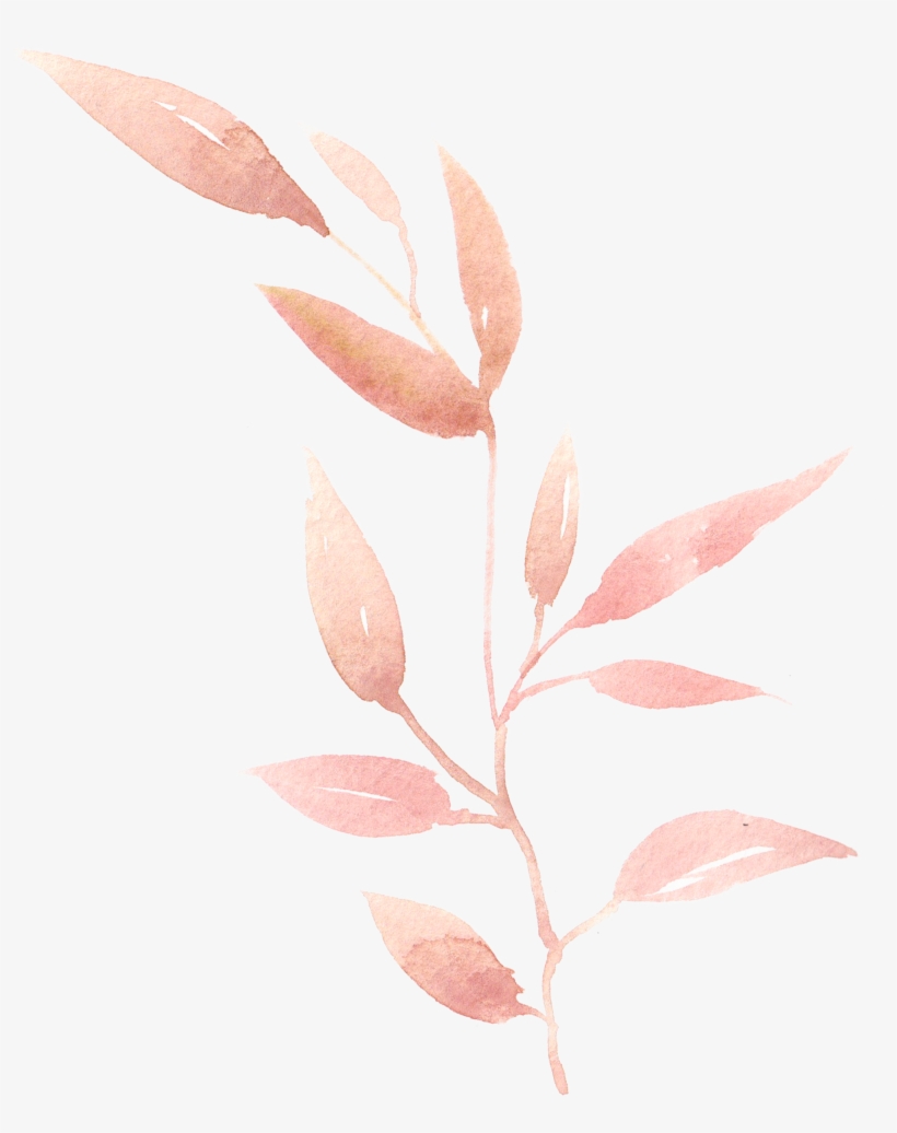 0℃素材28 Watercolor Leaves, Watercolor Art, Clip Art, - Png Soft Watercolour Leaves, transparent png download