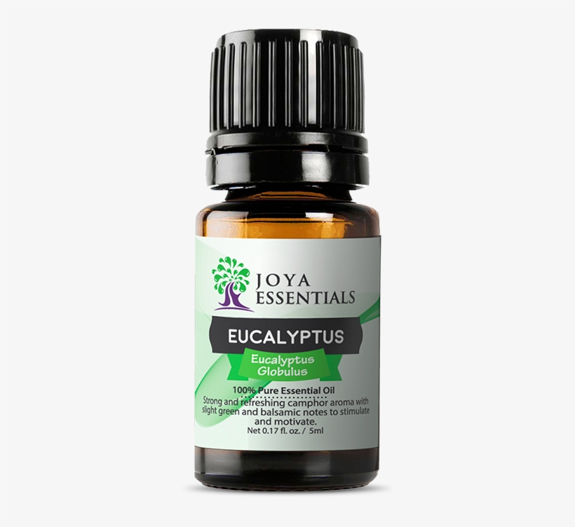 Eucalyptus Essential Oil - Oleo Essencial De Lavanda Doterra, transparent png download