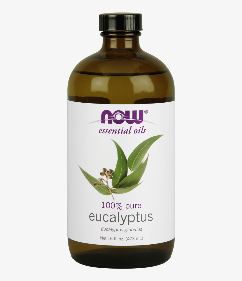 Now Eucalyptus Oil, 473 Ml - Now Foods Eucalyptus Oil, transparent png download