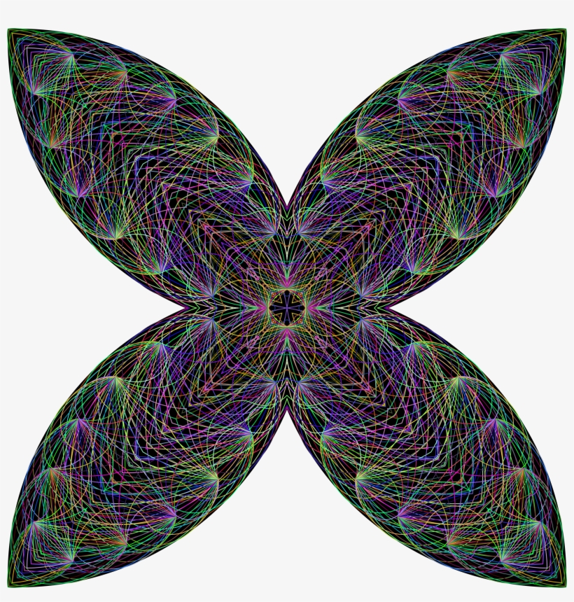 Big Image - Net-winged Insects, transparent png download