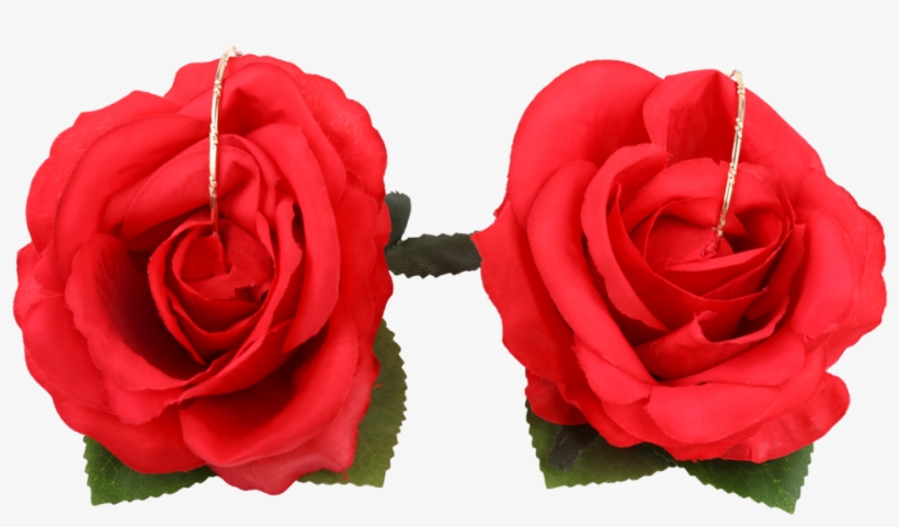 Big Red Roses - Garden Roses, transparent png download