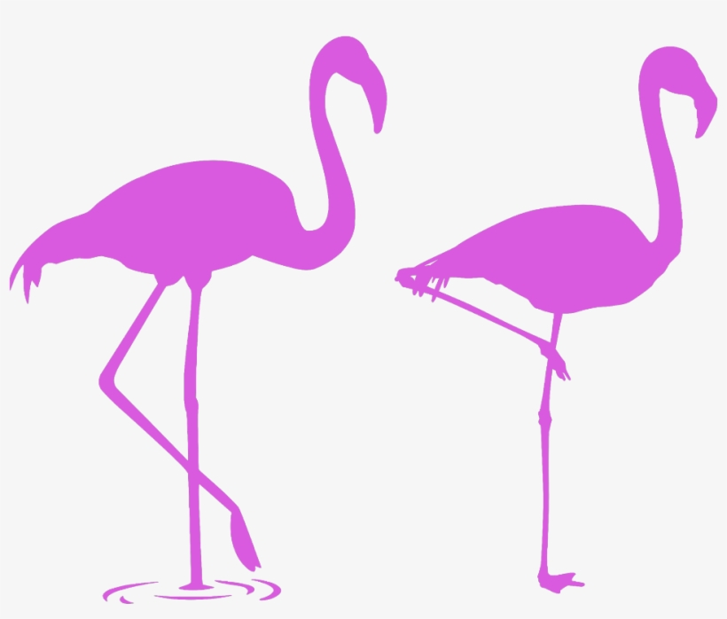 Mq Pink Flamingo Flamingos Silhouette - Flamencos Para La Pared, transparent png download