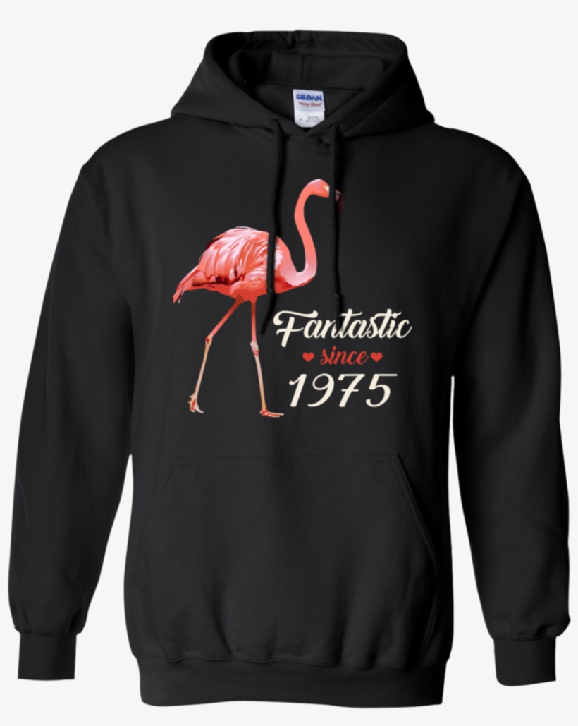 No Such Thing As A Fish Hoodie, transparent png download
