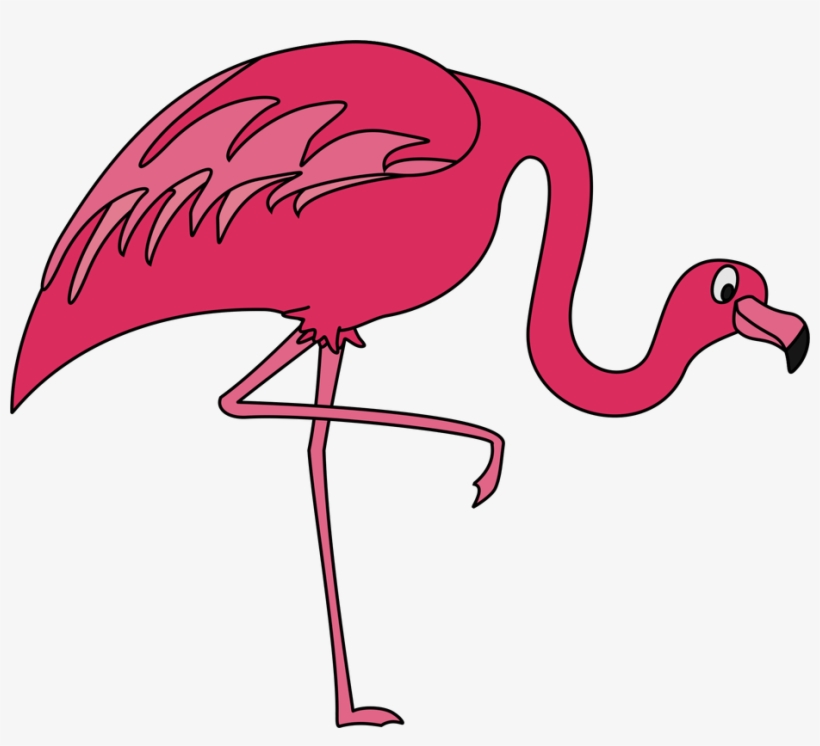 Pink Flamingo Clip Art - Greater Flamingo, transparent png download