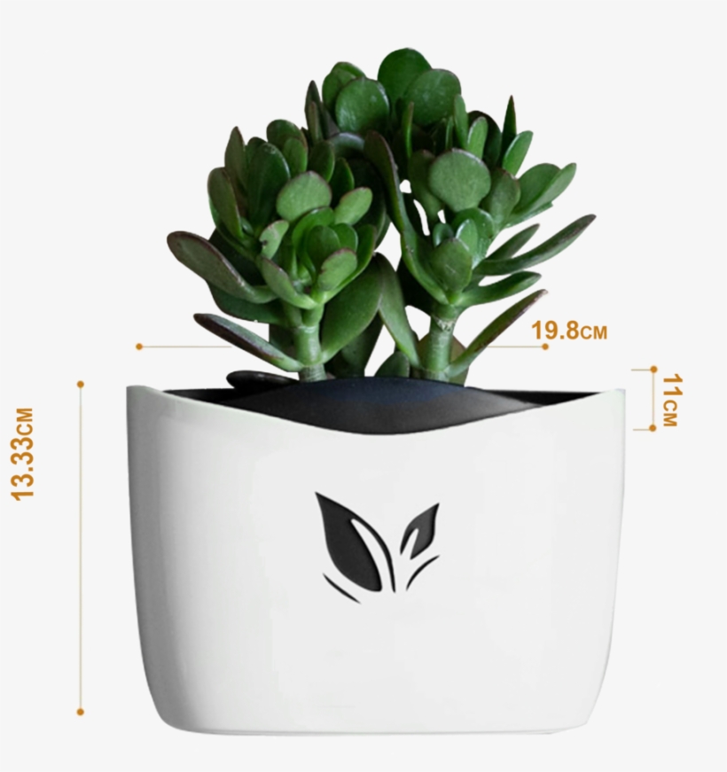Nail Free Hanging Plant Pots, White - Flowerpot, transparent png download