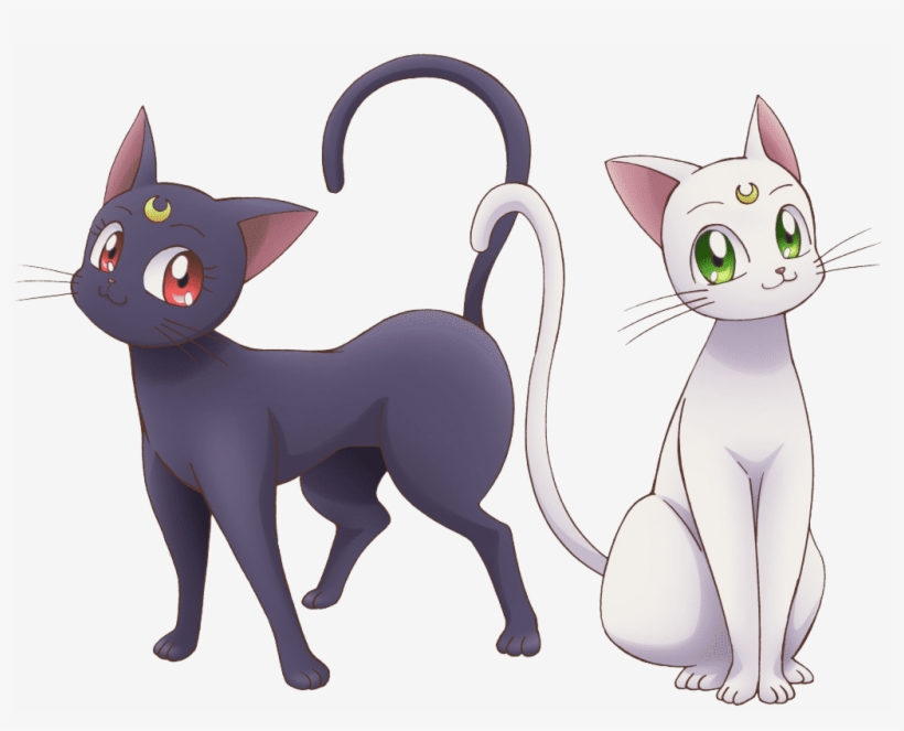 La Belle Qui Se Transformait En Magical Girl - Sailor Moon Luna Png, transparent png download