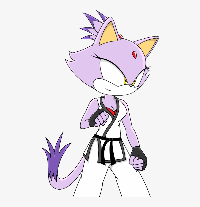 Tae Kwon Do Blaze The Cat Honfox - Blaze The Cat Karate, transparent png download
