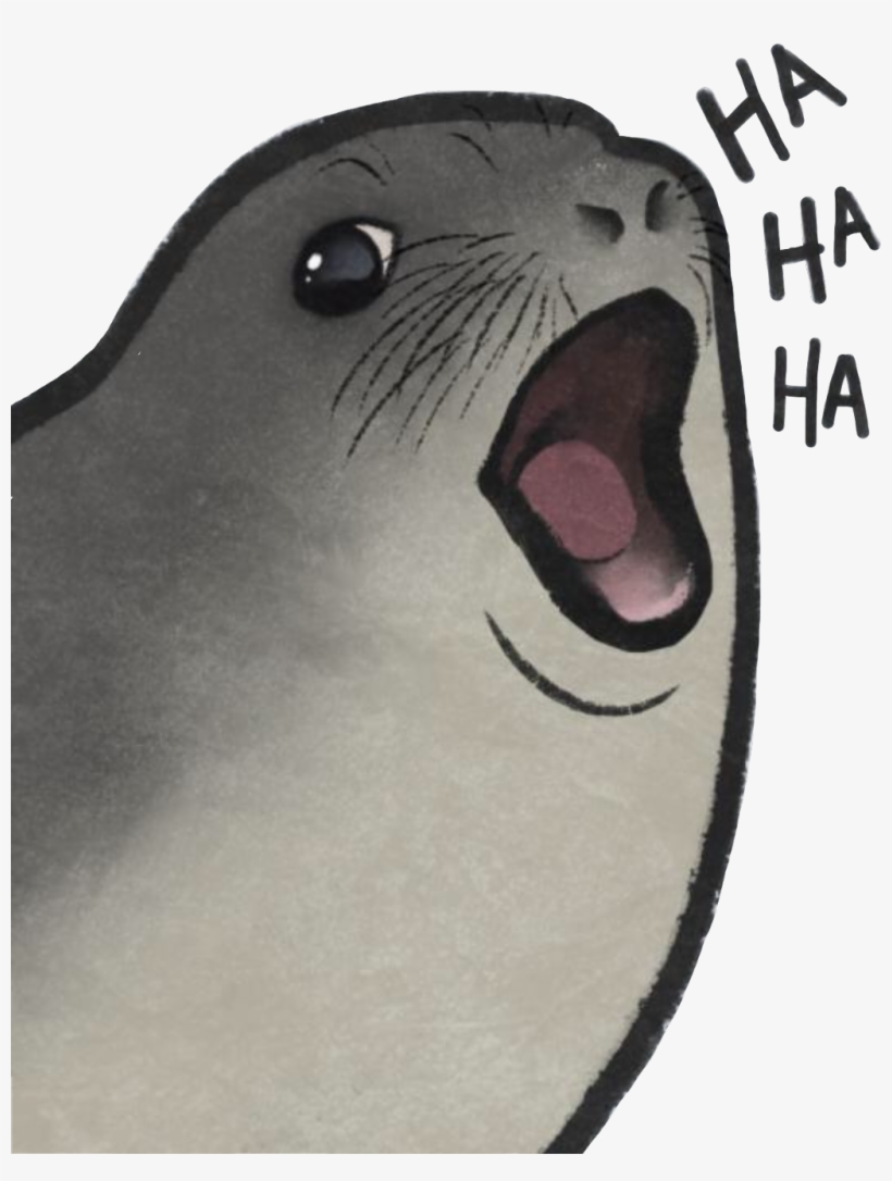 Report Abuse - California Sea Lion, transparent png download