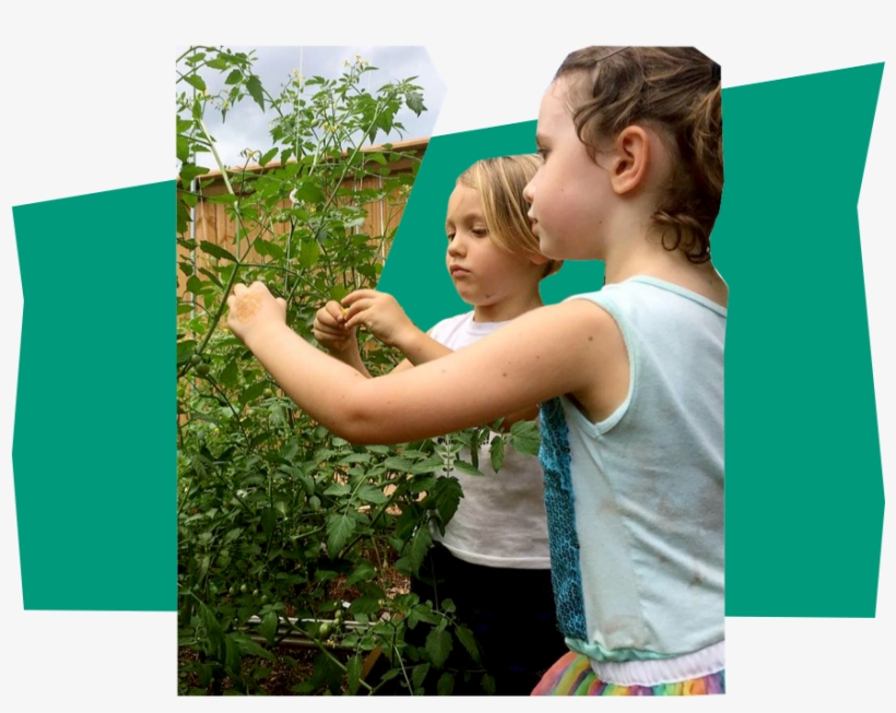 Programs Copy 3@2x - Toddler, transparent png download