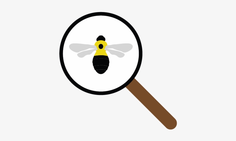 Icon Of Bumble Bee Under Magnifying Glass, transparent png download
