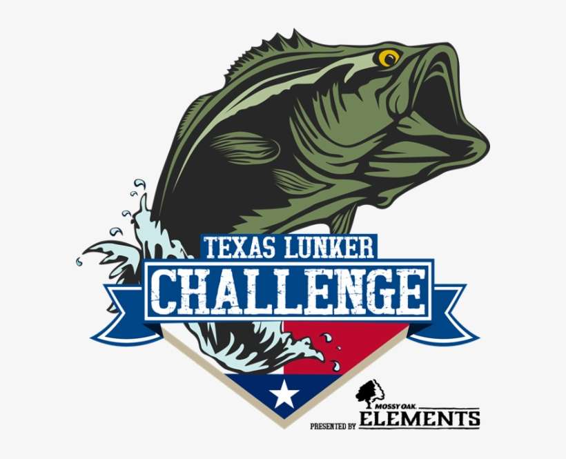 The First Event Of The 2019 Bass Pro Shops Collegiate - Perch Vector, transparent png download