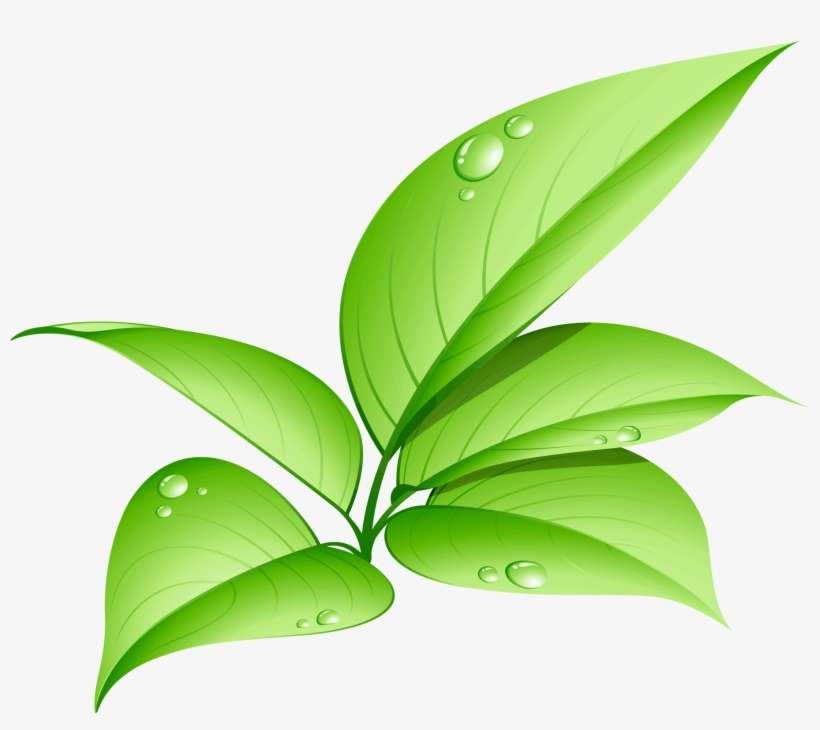 Download - Led Lights Environmentally Friendly, transparent png download