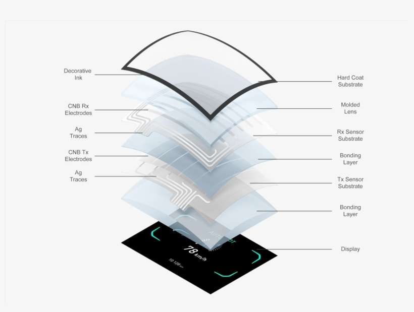 Trophy, transparent png download